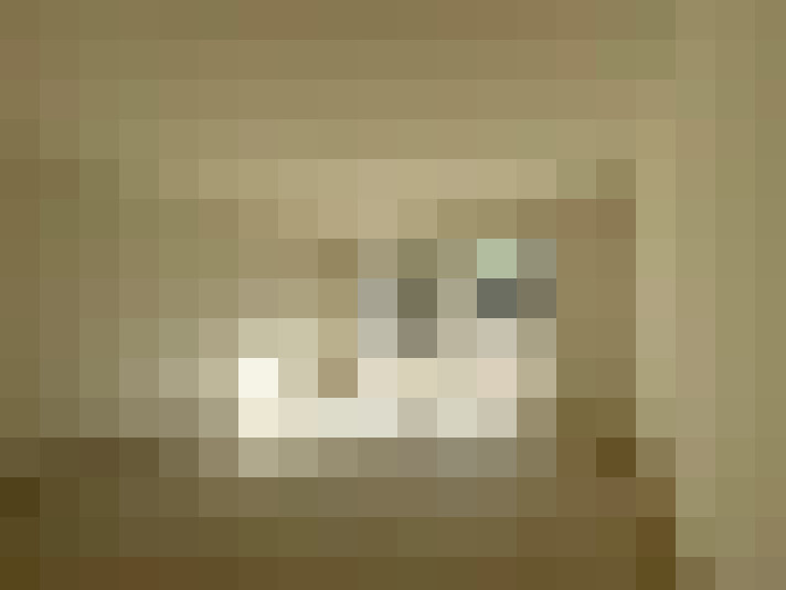 Image 29