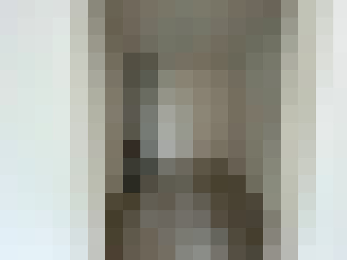 Image 42