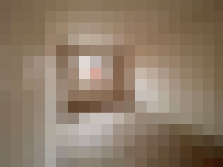 Image 28