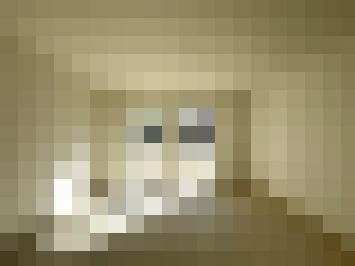 Image 35
