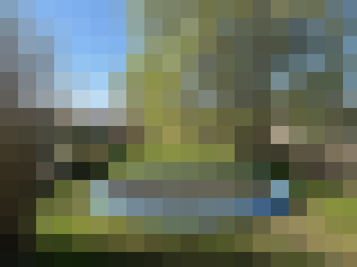 Image 15