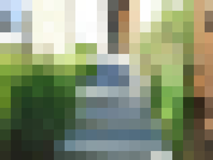 Image 36