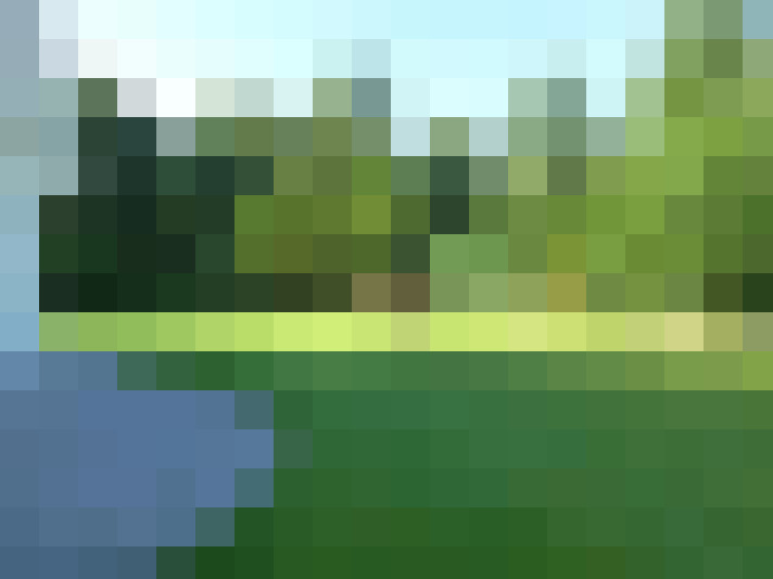 Image 44
