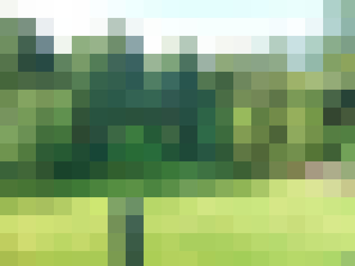 Image 39