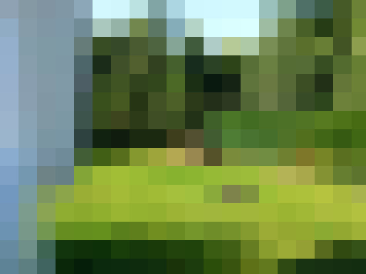 Image 40