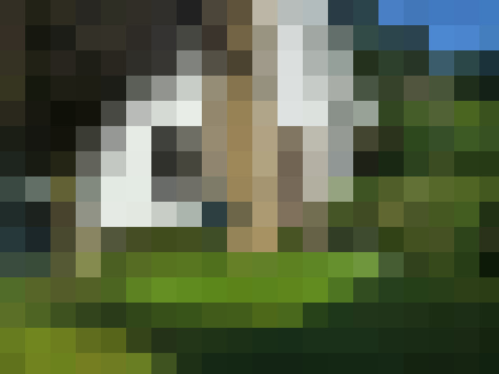 Image 35