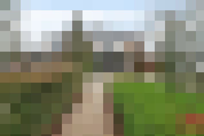 Image 17