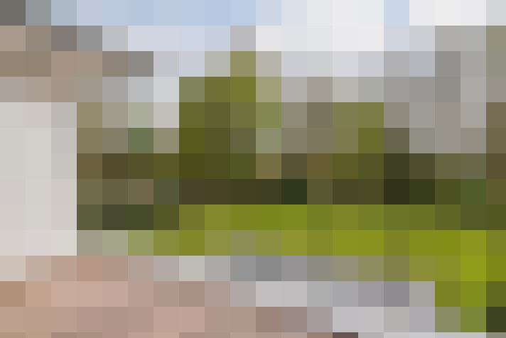 Image 28