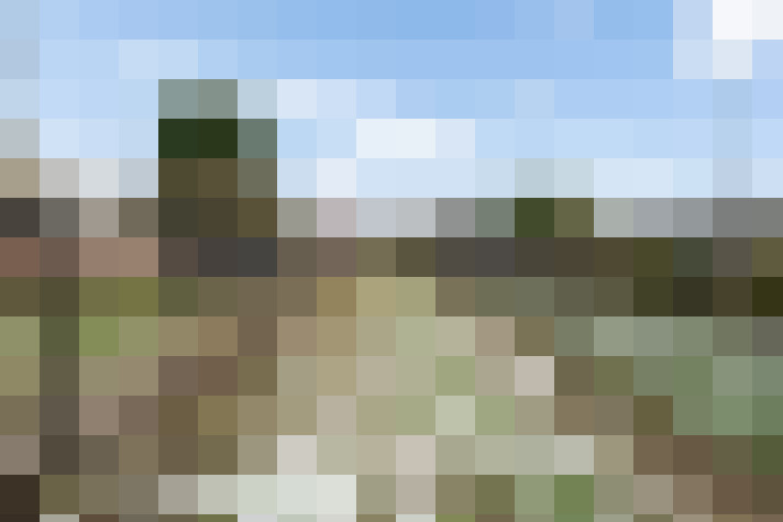 Image 17