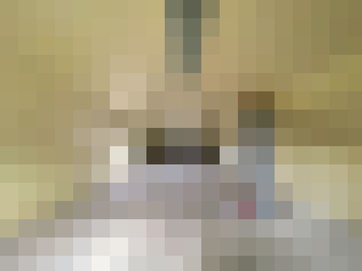 Image 15