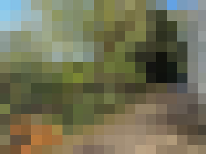Image 13
