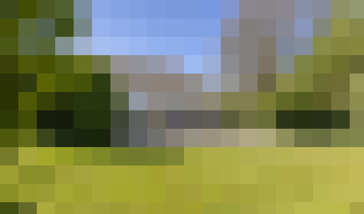 Image 22