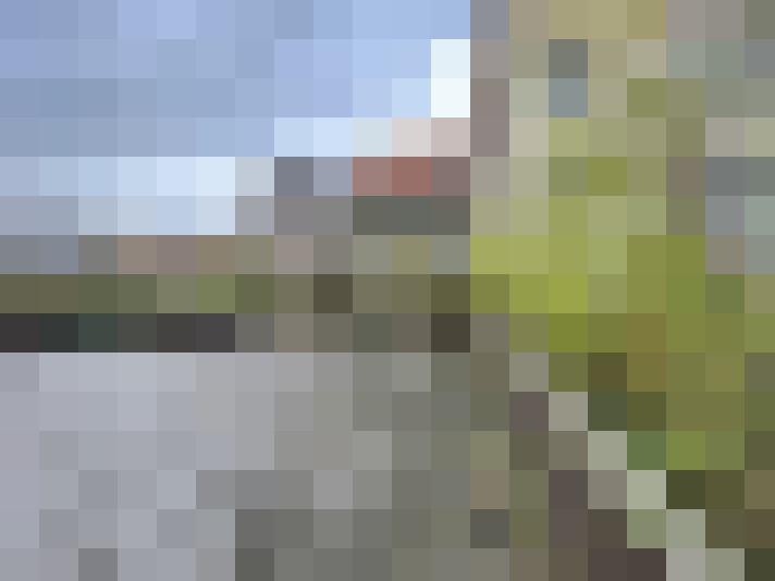 Image 17