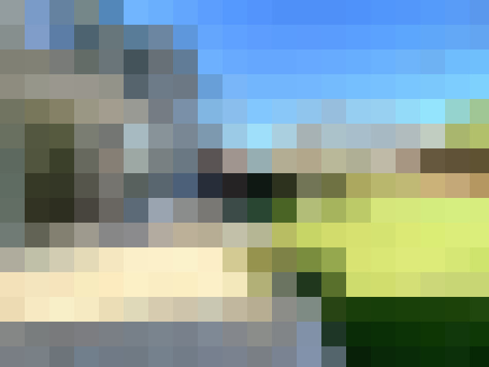Image 29
