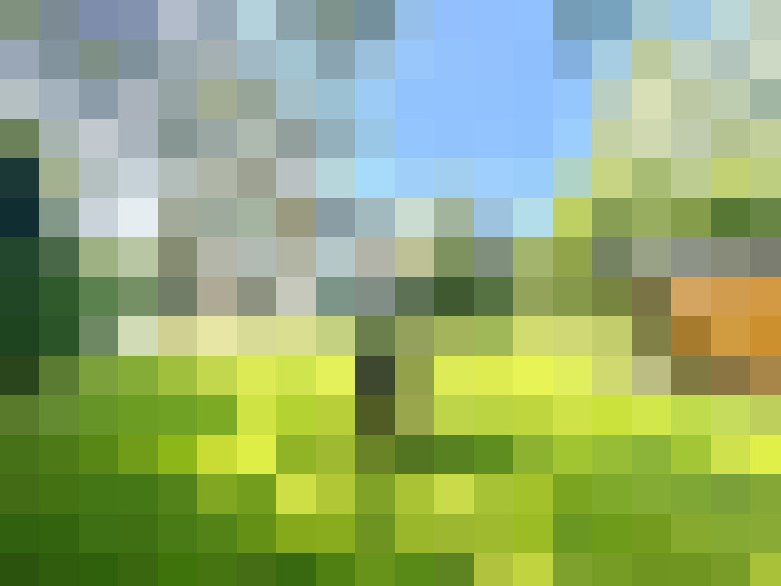 Image 28