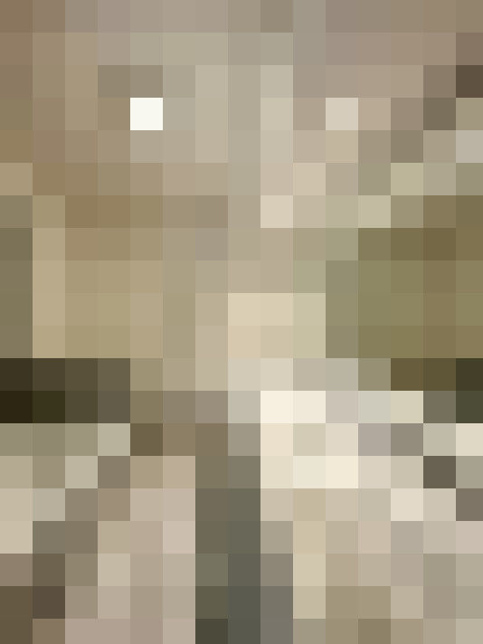 Image 13
