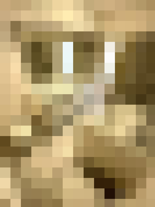 Image 14