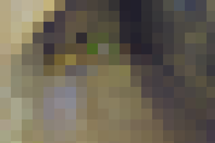Image 14
