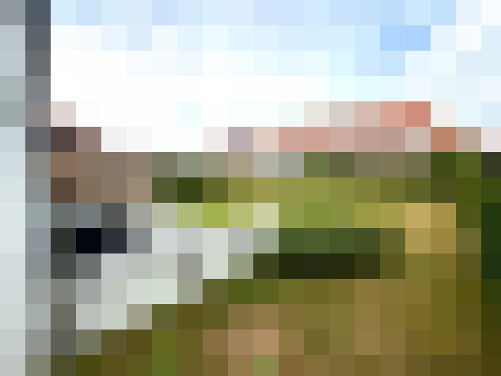 Image 20
