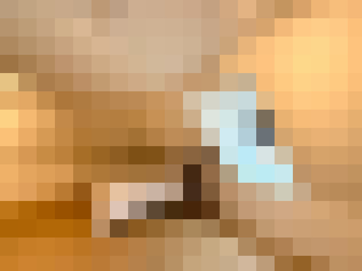 Image 17