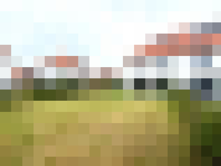 Image 22