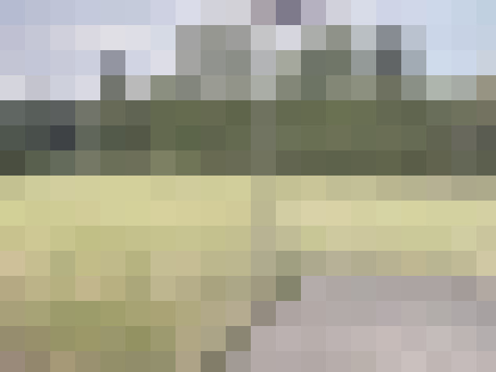 Image 16