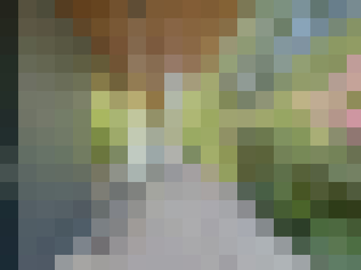 Image 17