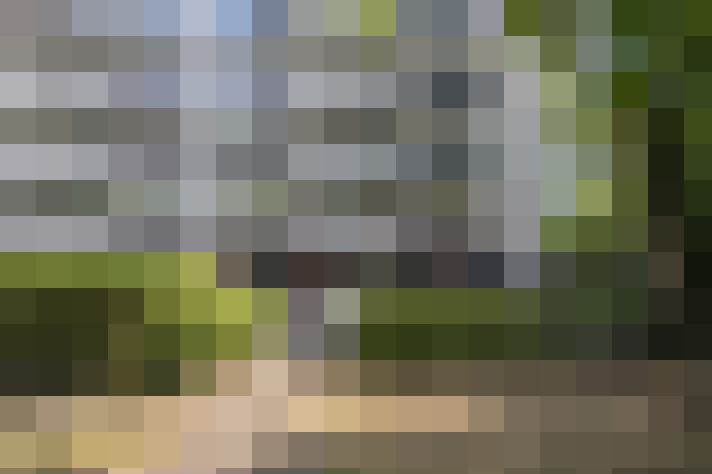 Image 13
