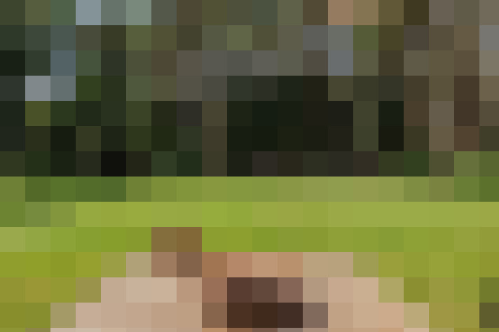 Image 16