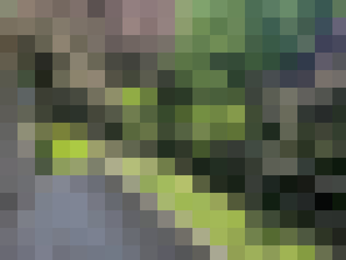 Image 14