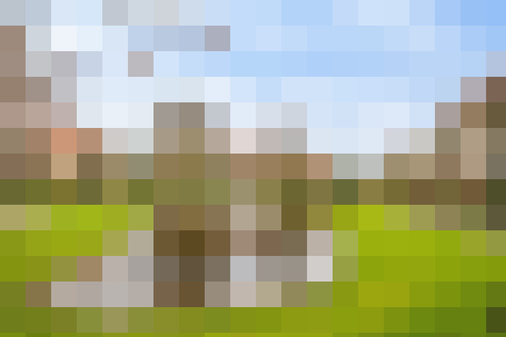 Image 16