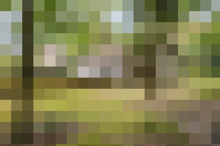 Image 14