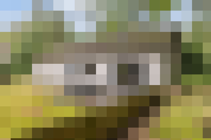 Image 13