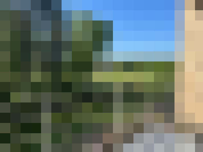 Image 16
