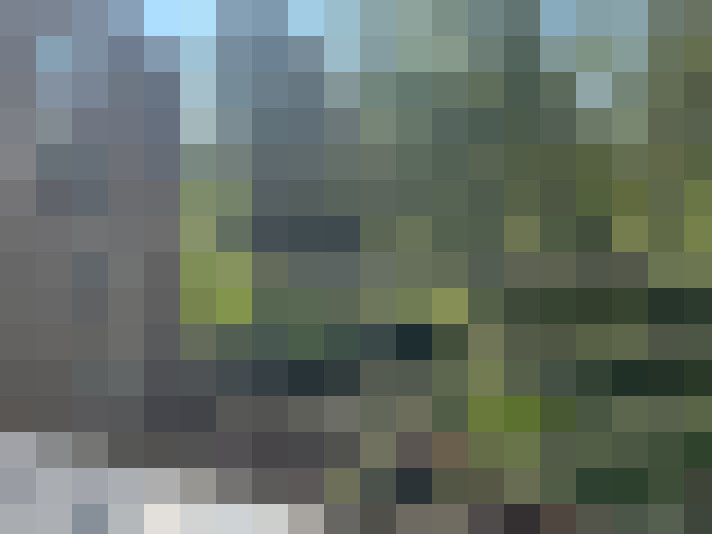 Image 17