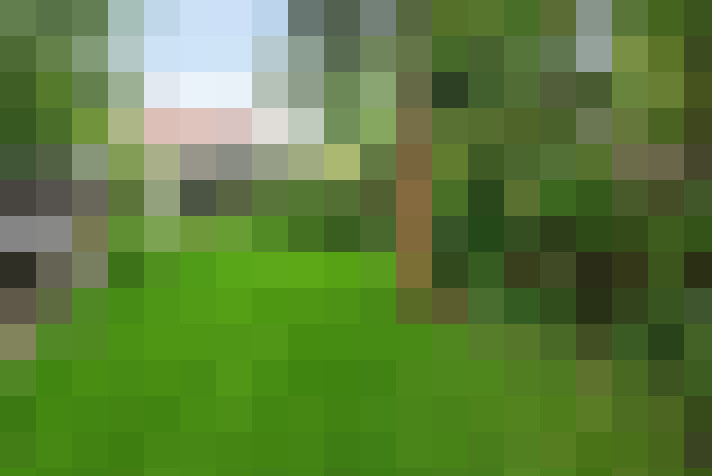Image 13