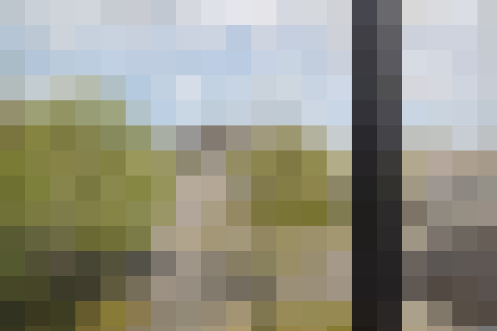 Image 22