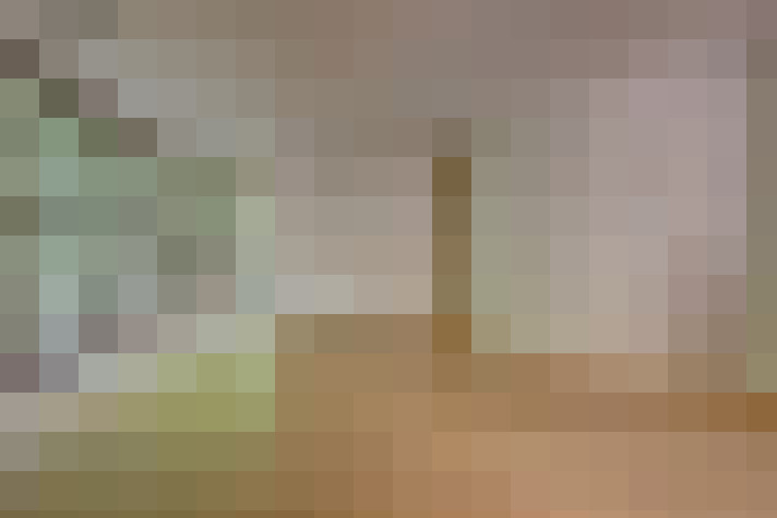 Image 29