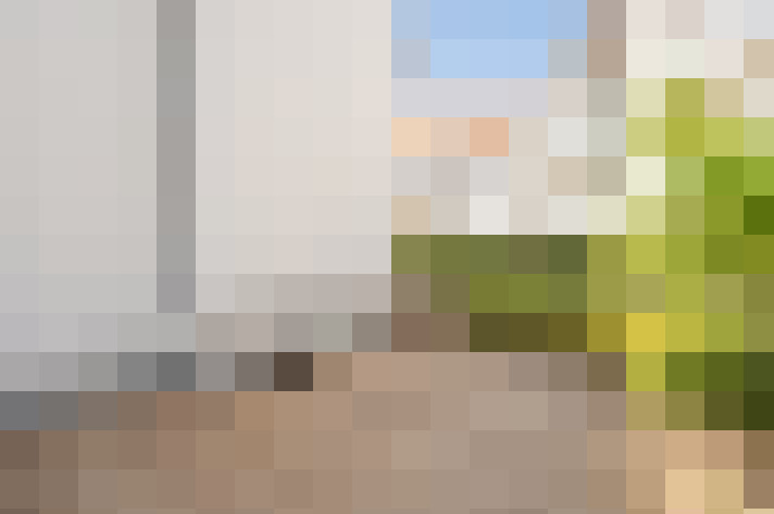Image 20