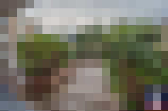 Image 23