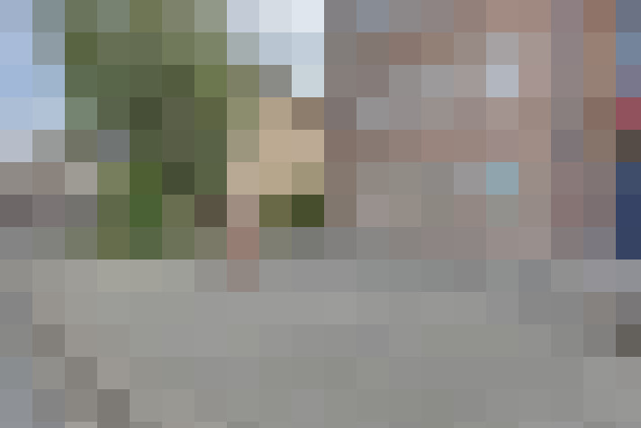 Image 15