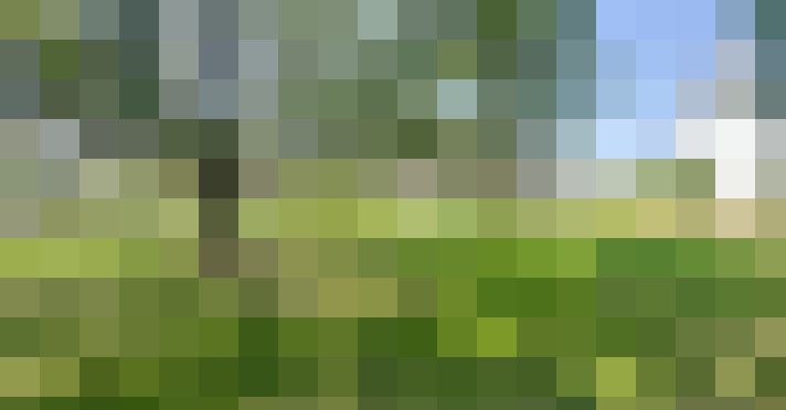 Image 16