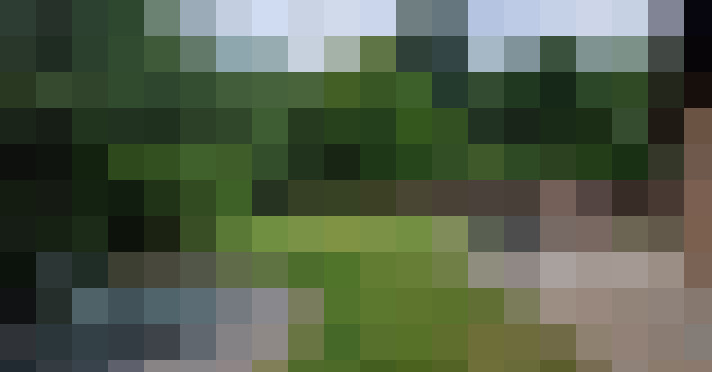 Image 27