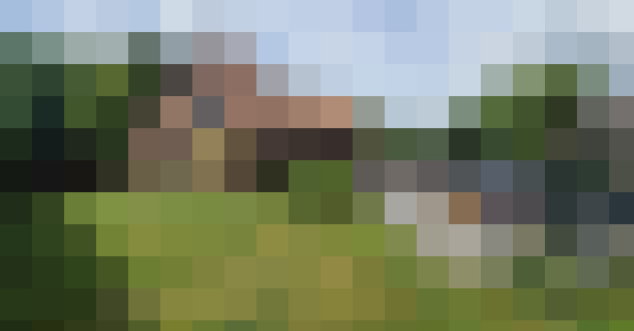 Image 28