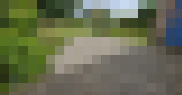 Image 14