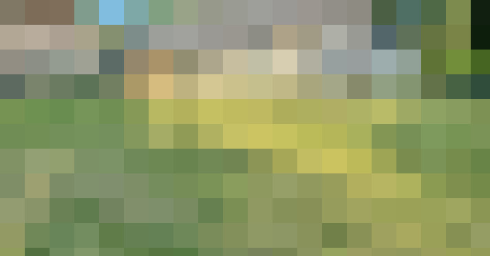 Image 27