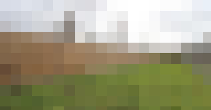 Image 29