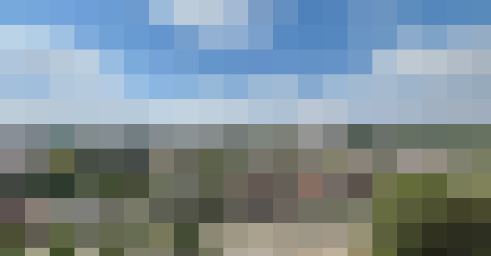 Image 23