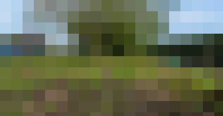 Image 23