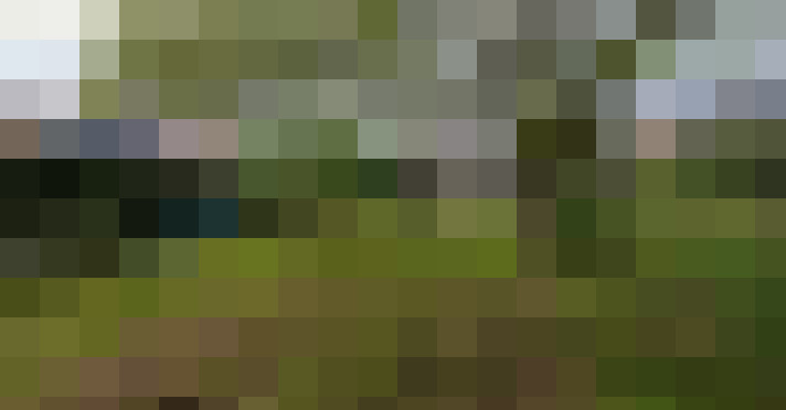 Image 24